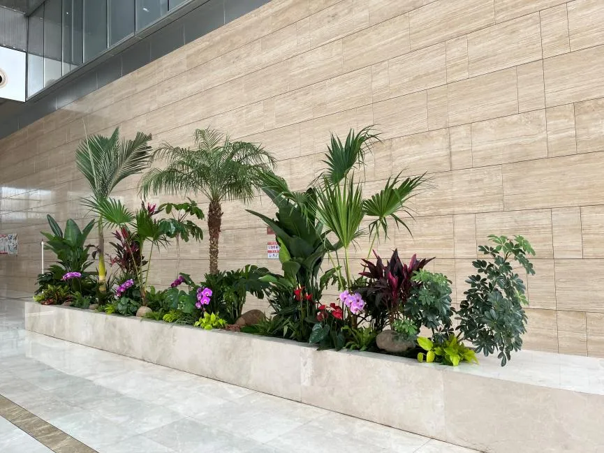 杭州湾花木出租哪家强？这几家实力领衔等你来挑！亡